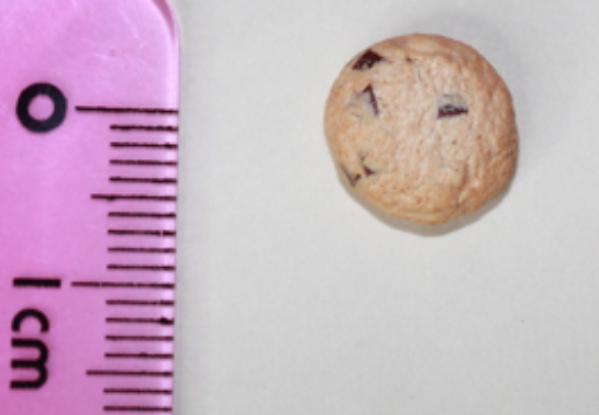 Choc Chip Cookie Earrings