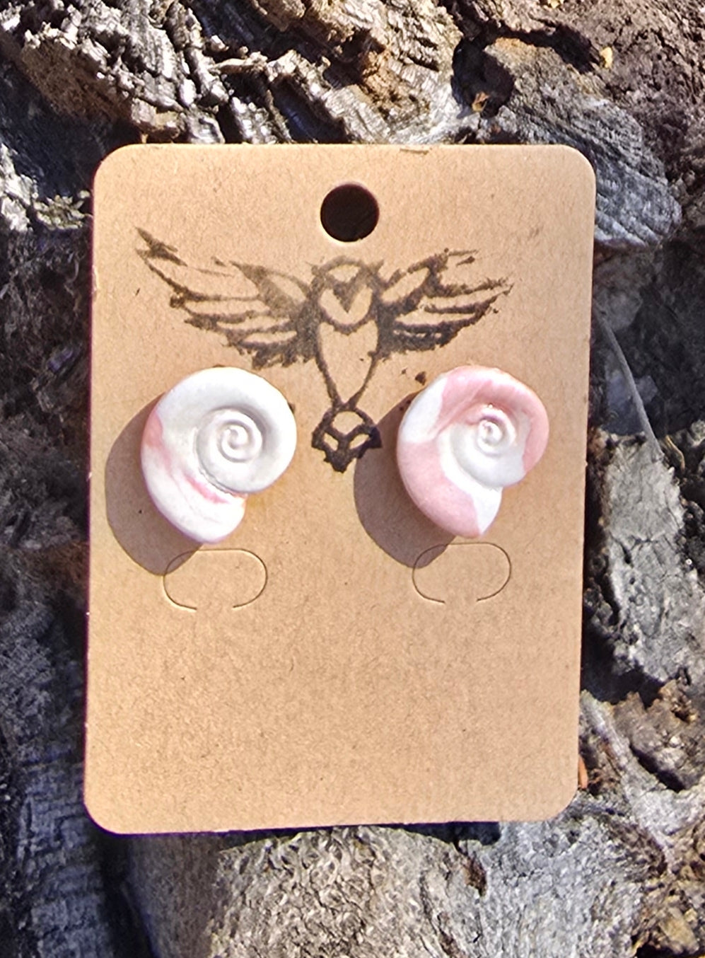Spiral shell Earrings